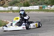 20110501_ales_agnus (3451)